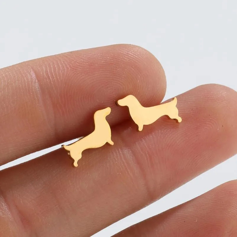Dachshund Stud Auskari