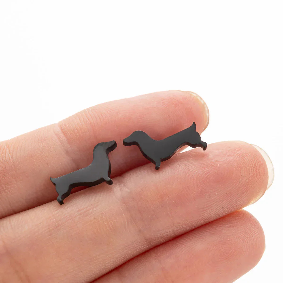 Dachshund Stud Auskari
